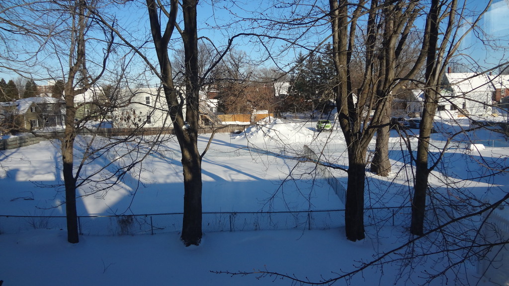 From my nest